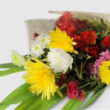 Bouquet of assorted mums