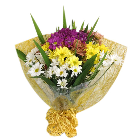 Spring White, Yellow, and Purple Mums