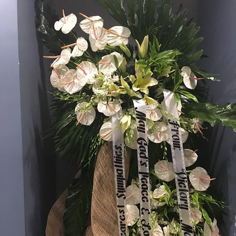 White anthuriums with letter "C" shape