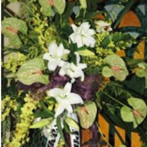 Green Anthuriums