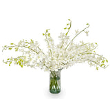 Vase of orchids