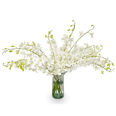 Vase of orchids