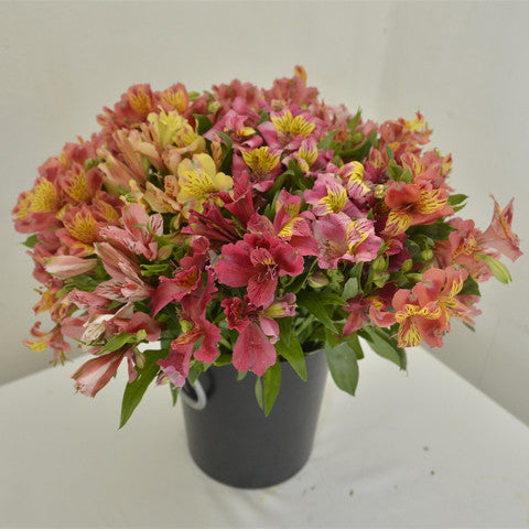 Spring Bouquet 18