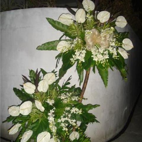 White anthurium with orchids